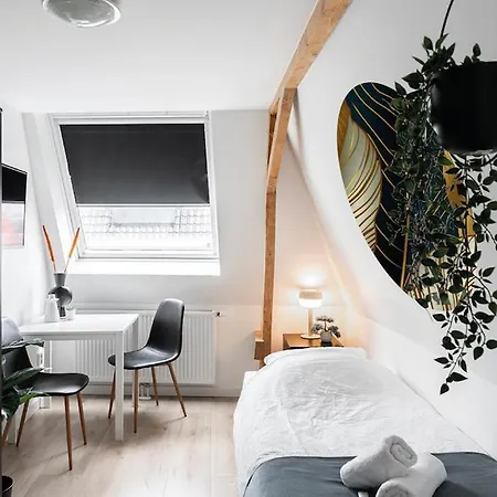 Newly Renovated With Kitchen Access * Тилбург